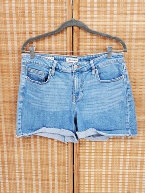 Vigoss Marley Raw Hem Shorts Size 29